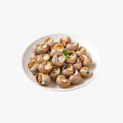 生鲜类玉螺熟食摆盘实拍图高清图片