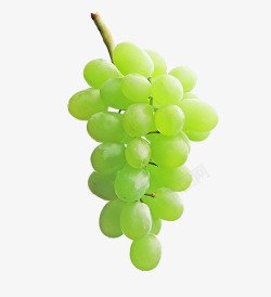 一串绿色葡萄素材
