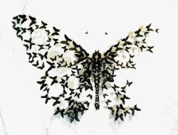 遗漏的遗漏翅膀蝴蝶高清图片