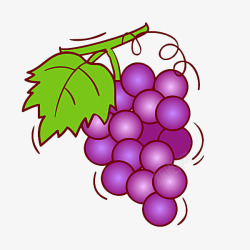 健康营养紫色葡萄高清图片