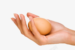 手拿鸡蛋素材
