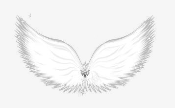 洁白的天使翅膀png免抠素材_新图网 https://ixintu.com 创意 唯美 天使翅膀 洁白