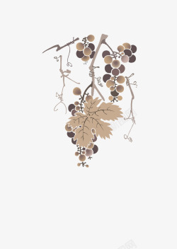 葡萄枝手绘葡萄高清图片