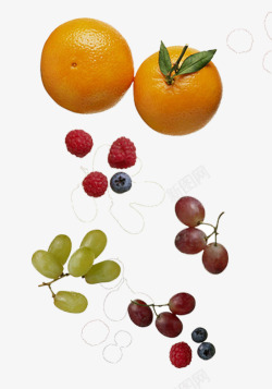 橘子桑椹葡萄提子素材