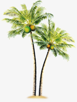 卡通植物夏日海报椰子树素材