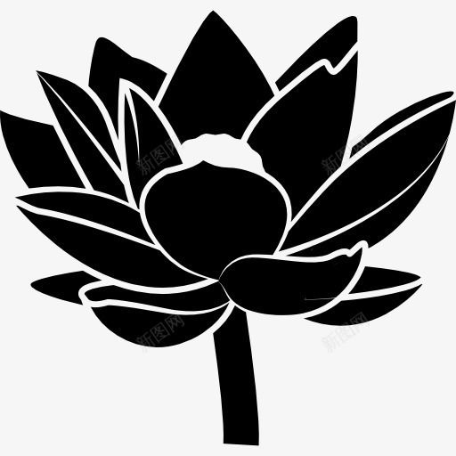 花的点缀图标png_新图网 https://ixintu.com 形状 点缀 自然 自然的形状 花 装饰