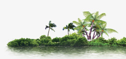 夏日树丛椰子树高清图片