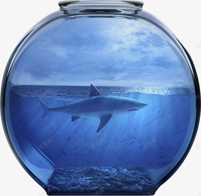 玻璃摆件png免抠素材_新图网 https://ixintu.com 工艺品 摆件 蓝色 装饰品 鲨鱼