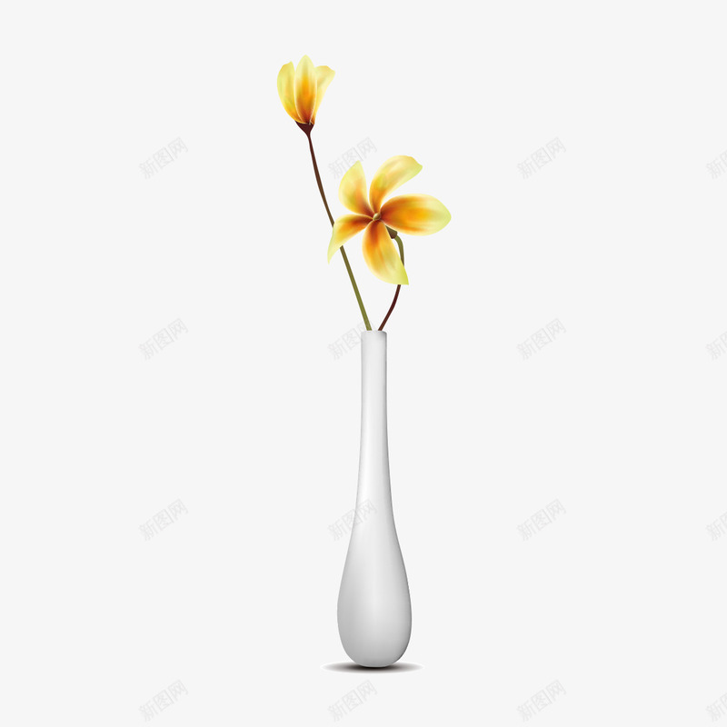 花瓶里的花png免抠素材_新图网 https://ixintu.com 小花瓶 白色花瓶 花 花瓶