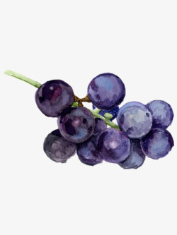 好看的葡萄手绘水彩水果葡萄高清图片