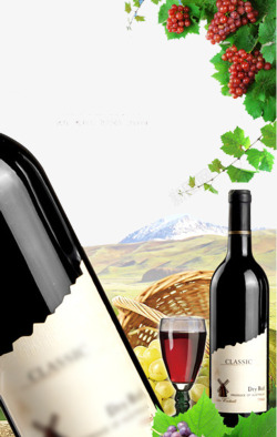 葡萄酒广告葡萄酒广告高清图片
