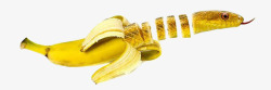 奇奇怪怪的蔬果香蕉蛇素材