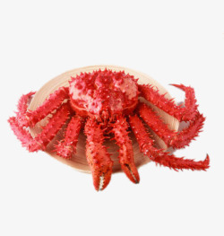 盘子里的海鲜盘子里的帝王蟹高清图片