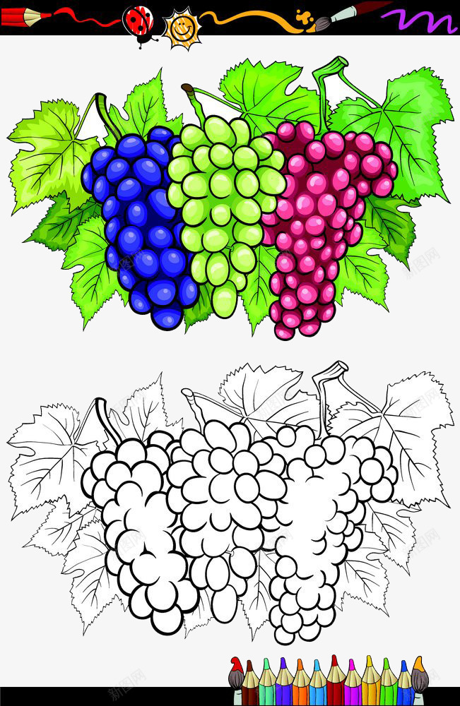 葡萄串轮廓png免抠素材_新图网 https://ixintu.com 三串葡萄 葡萄 输赢