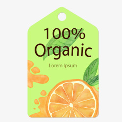 水果吊牌橙子果汁标签矢量图高清图片
