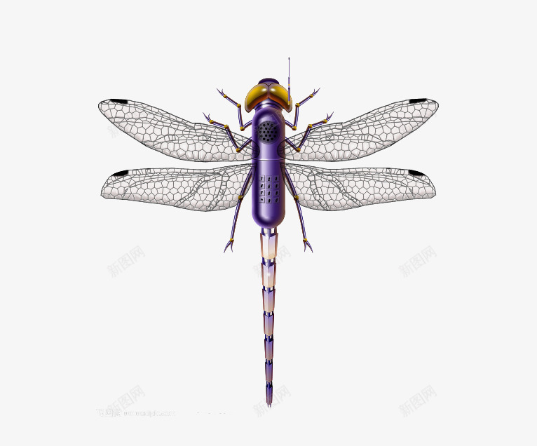 不一样的蜻蜓片png免抠素材_新图网 https://ixintu.com 漂亮的蜻蜓图片 紫色的蜻蜓图片 翅膀图片 背景图片 装饰图片紫蜻蜓