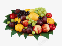 一篮子水果维生素营养补充素材