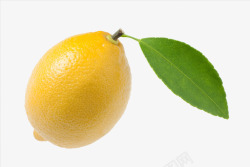黄皮水果新鲜柠檬高清图片