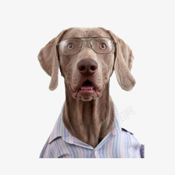罗丹戴眼镜的狗先生高清图片