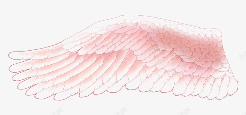 粉色的翅膀png免抠素材_新图网 https://ixintu.com 单个 手绘 粉色 翅膀