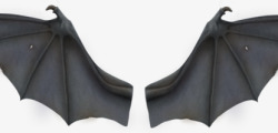 蝙蝠翅膀透明背景素材