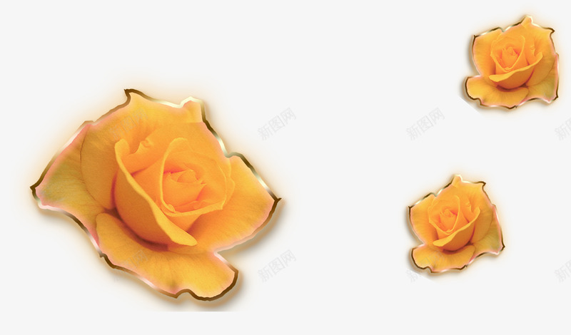 3D玫瑰花png免抠素材_新图网 https://ixintu.com 3D玫瑰 3D立体花 底纹点缀 精美花卉 装饰花纹 鲜花 黄色玫瑰