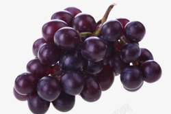 热带水果葡萄素材