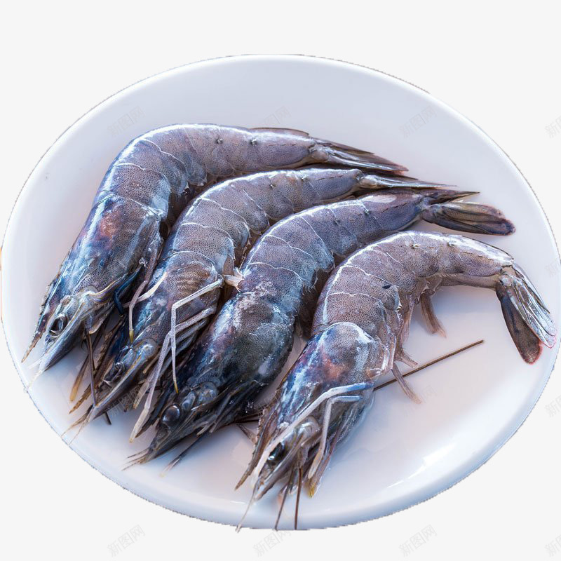 有机蓝虾png免抠素材_新图网 https://ixintu.com 冻大虾 海鲜 生鲜 食品