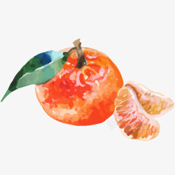 果瓣新鲜橘子水彩插画矢量图高清图片
