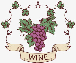 紫色葡萄酒手绘葡萄藤高清图片