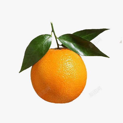 新鲜水果png免抠素材_新图网 https://ixintu.com 一个甜橙 实物 新鲜水果 橙子 橙子摄影 绿叶