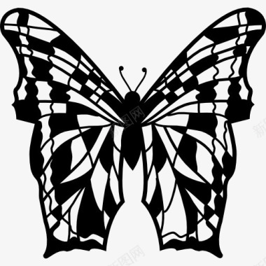 蝴蝶翅膀的复杂标图标图标