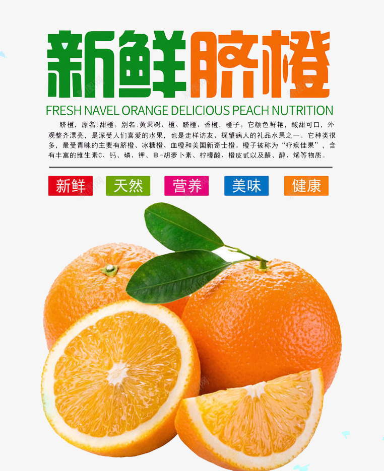 新鲜脐橙png免抠素材_新图网 https://ixintu.com 橙子 水果 脐橙 食物