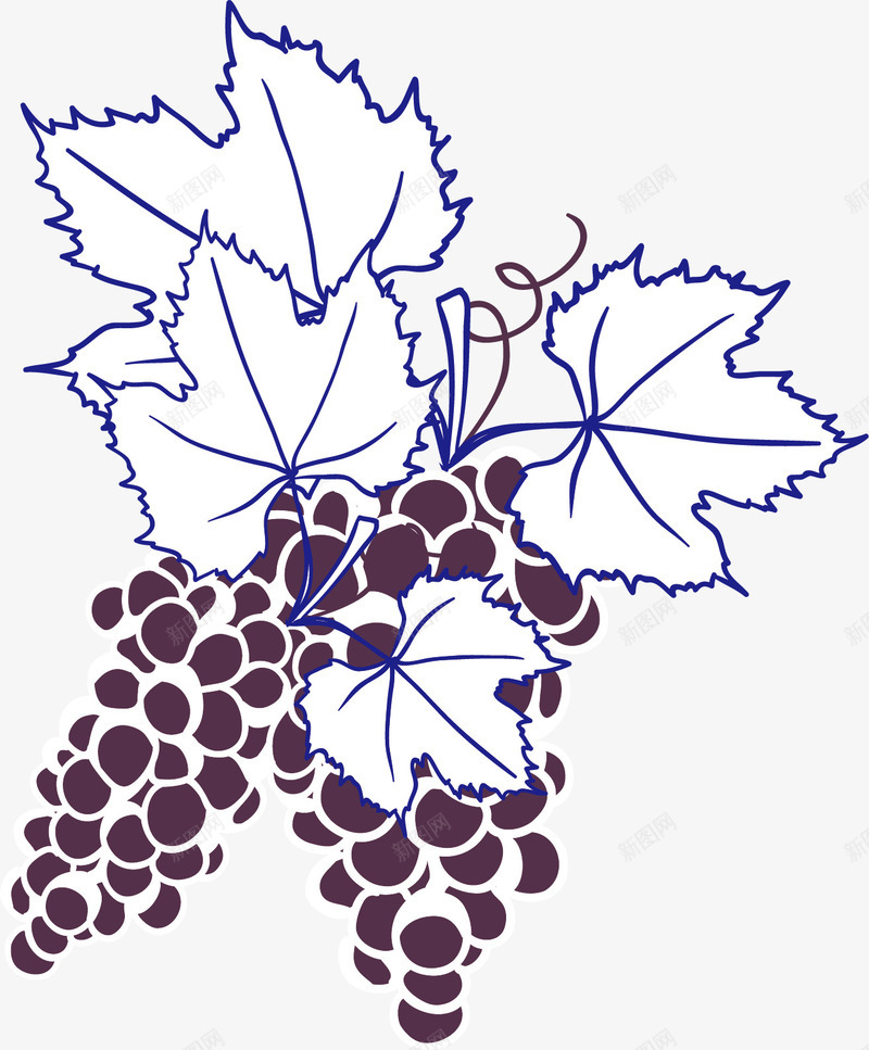 卡通手绘水果元素png免抠素材_新图网 https://ixintu.com 卡通叶子 卡通提子 卡通水果 手绘图设计图 手绘水果 手绘葡萄 葡萄酒酒标 食物设计
