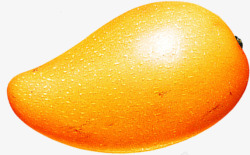 金黄色芒果手绘新鲜的金黄色的芒果高清图片