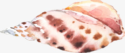 手绘水彩海螺贝壳素材