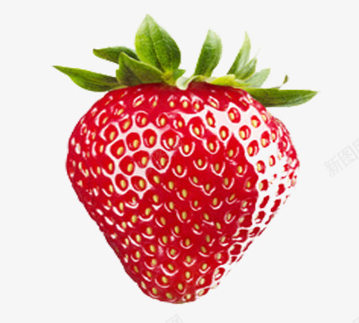 一个草莓png免抠素材_新图网 https://ixintu.com 新鲜草莓 水果 美味 草莓图片