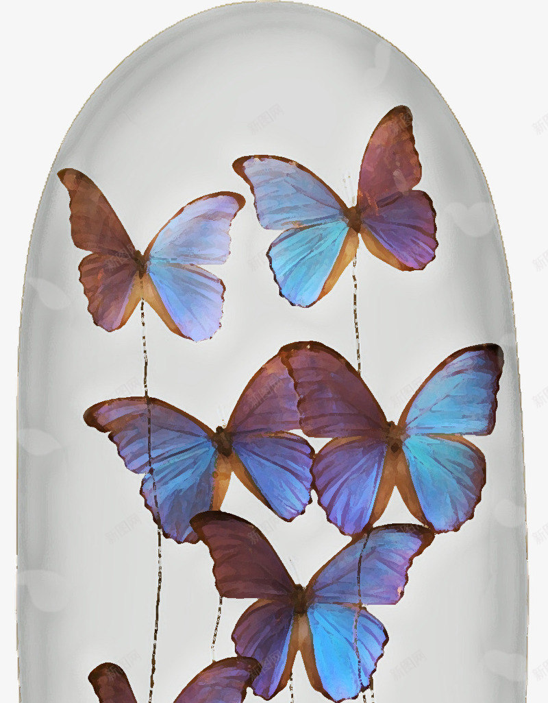 玻璃罩里的蝴蝶png免抠素材_新图网 https://ixintu.com 昆虫 玻璃 蝴蝶 装饰