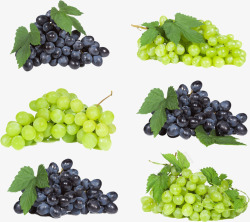 水果葡萄绿葡萄紫葡萄素材