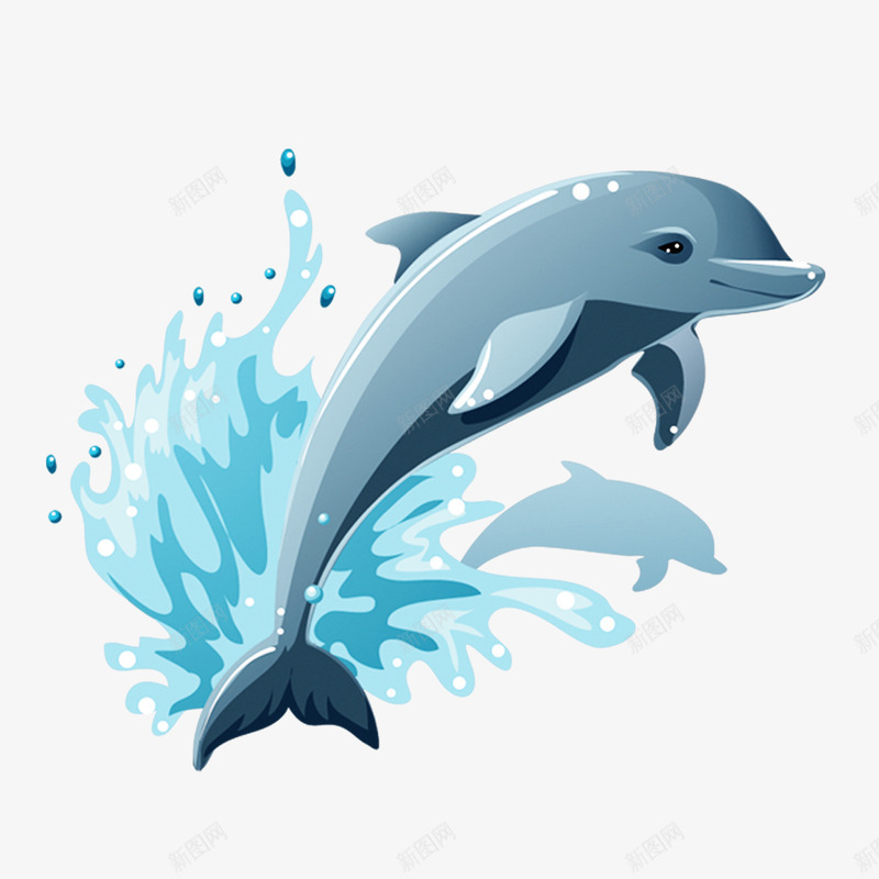 海豚png免抠素材_新图网 https://ixintu.com 动物 夏日元素 水花 海豚 飞溅