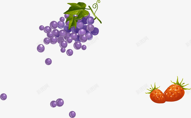 紫色葡萄红色草莓手绘png免抠素材_新图网 https://ixintu.com 紫色 红色 草莓 葡萄