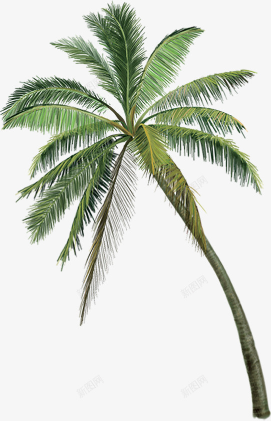 沙滩夏日植物棕树png免抠素材_新图网 https://ixintu.com 夏日 棕树 植物 沙滩