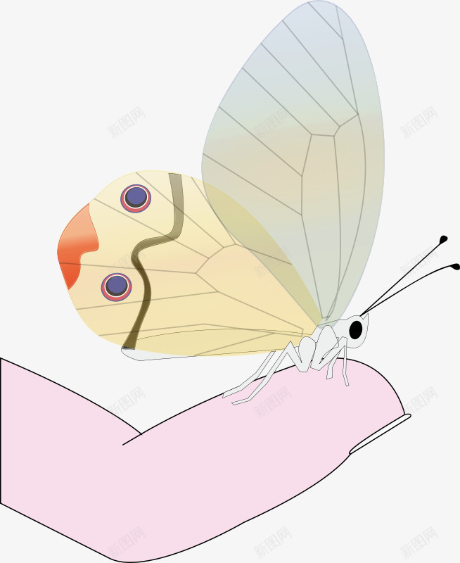 手上的透明翅膀的卡通小虫png免抠素材_新图网 https://ixintu.com 卡通 翅膀 透明 透明翅膀