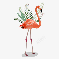 高贵动物可爱小清新装饰海报装饰丹顶鹤和高清图片