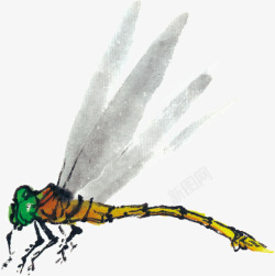黄色蜻蜓素材