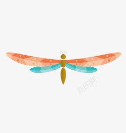 彩色蜻蜓素材