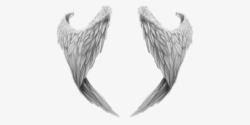 白色羽翼装饰图案素材