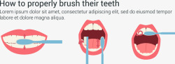 正确的刷牙顺序如何正确刷牙演示矢量图高清图片