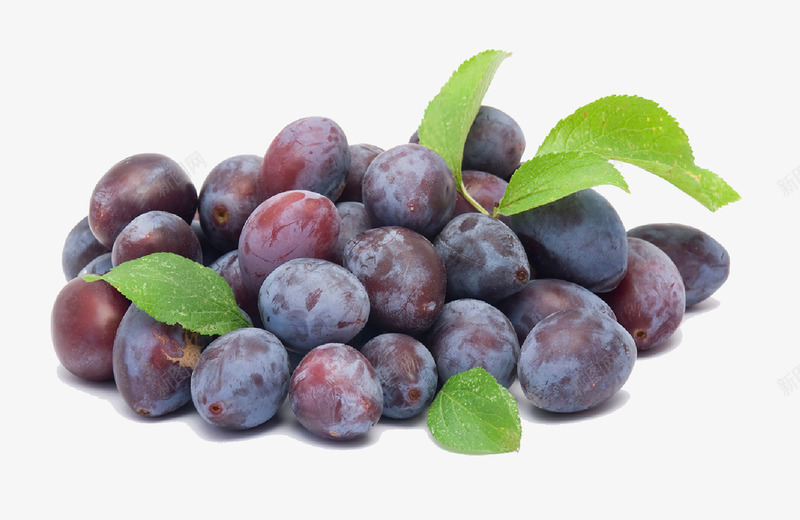 新鲜的紫色葡萄叶子png免抠素材_新图网 https://ixintu.com 什锦水果 切开的水果 各种水果 新鲜水果 绿色食品 超市水果 高清水果