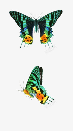 绿色光效翅膀蝴蝶素材